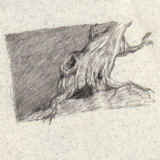 Tree Face 4